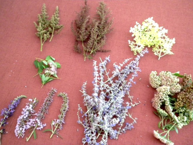 Time for Dried Miniature Flowers – The Wonder of Miniature Worlds